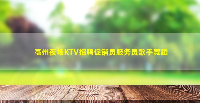 亳州夜场KTV招聘促销员服务员歌手舞蹈